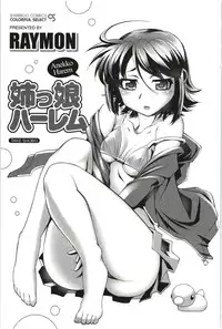 [Raymon] Anekko Harem