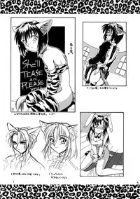 [ネコミミ団(.30-06)] CAZA MAYOR 2