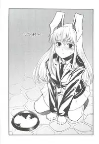 (Reitaisai 9) [Shironegiya (miya9)] -udongein- (Touhou Project)