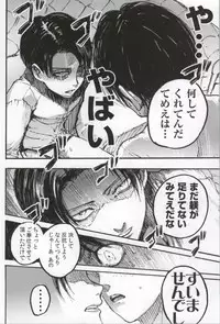 (C86) [Onjire (Tamy)] ONGRE2013 (Shingeki no Kyojin)