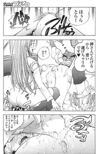 COMIC Purumelo 2008-07 Vol. 19