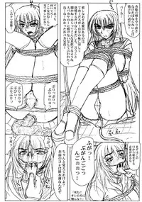 (C67) [Nozarashi (Nozarashi Satoru)] Kyouhime-sama Chijoku Kutsujoku Gojuuyon Renpatsu!