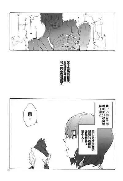 [NEO-de (Natsuzaka)] Tadashii Hito (Gundam Seed Destiny) [Chinese]