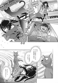 Comic Rin Vol. 29 [2007-05]