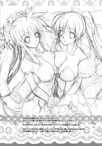 (C80) [Hanzai Tengoku] Happiness (Mahou Shoujo Lyrical Nanoha)