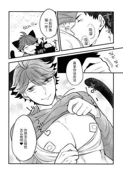 我想成为小岩的猫3 I want to become Iwa-chan's Cat! 3