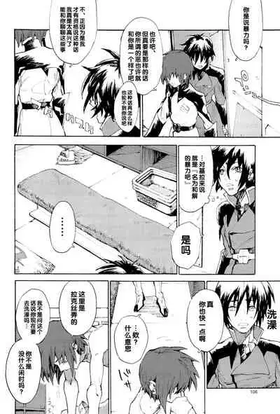 [NEO-de (Natsuzaka)] Tadashii Hito (Gundam Seed Destiny) [Chinese]