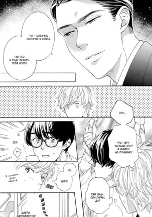 The Daydreamer Falls in Love