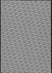 (C68) [Neko Saffron (inoino)] Kishinjin