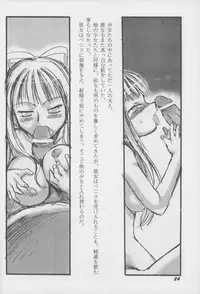 (C65) [P.A. Project (Teruki Kuma)] Youshoku San