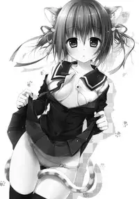 (Mimiket 30) [KINOKONOMI (konomi)] Nyancology 3 -Nekota-san To Houkago kakurenbo-