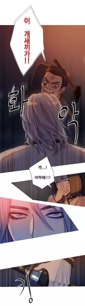 Scandal of the Witch Ch.0-35