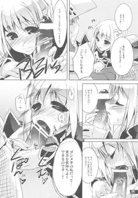 (C78) [Fujiya Honten (Thomas)] Hunter's Bible (Monster Hunter)