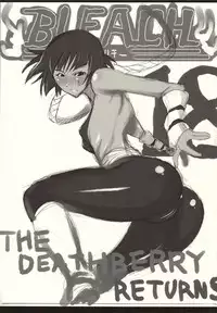 (C68) [VARIABLE (Yukiguni Eringi)] YORUxXAI FESTIVAL (Bleach)