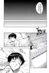 (C82) [cassino (Magarikoji Lily)] ONLY IF (Neon Genesis Evangelion) [Chinese]