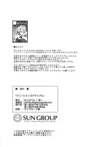 (C93) [Hokkepen (Seiichi)] Bunny Remi Scramble (Touhou Project)