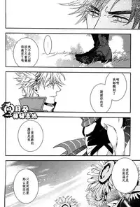 [JOJO][JC]Stelle[CN]