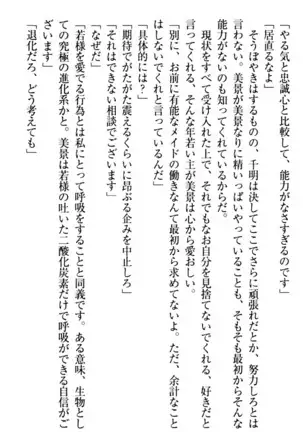 年上メイドの新婚日記