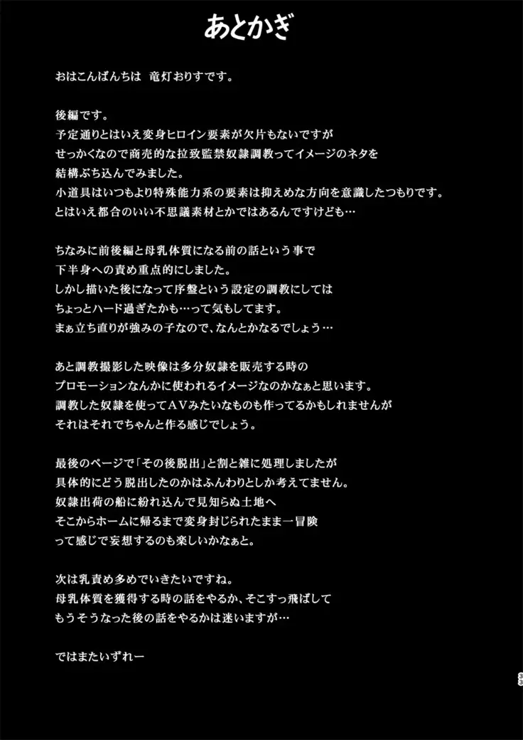 Shield Knight Elsain - Prison Island of Humiliation vol.2