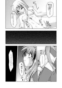 (C74) [TRICKorTREAT (Kagura Tsukune)] InSulT II (Mahou Shoujo Lyrical Nanoha)