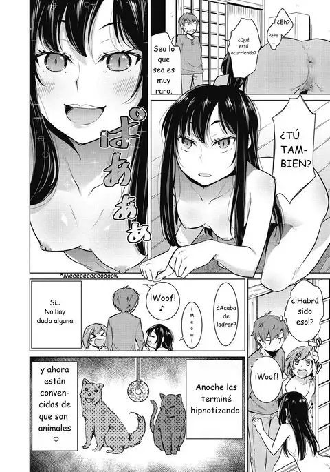 Una cómoda vida de un "dueño" de mascotas