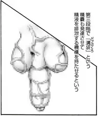 [Kame no Onaka] CORRUPT&ROTTEN Cutey Liddy no Funiku no Andouille "Sono San"