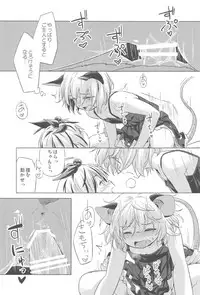 (C91) [Animal Passion (Yude Pea)] Onazrin to Senzurii Tiger (Touhou Project)