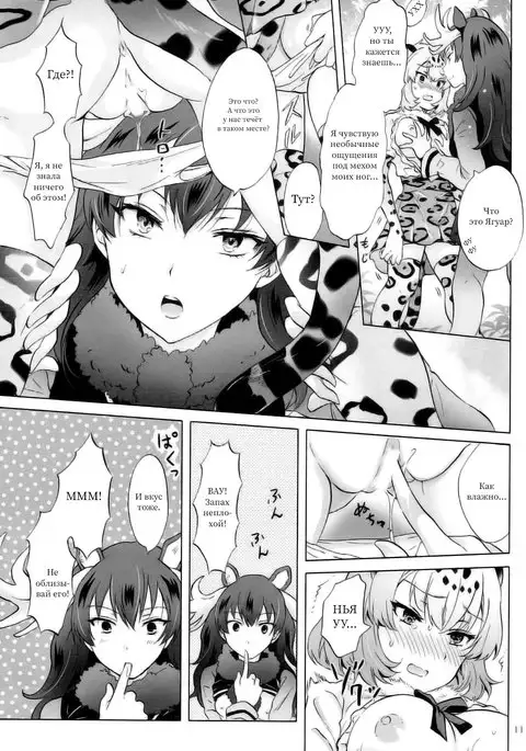 Jaguar wa Tabun Tatakawanai Jaguar Doesn't Fight