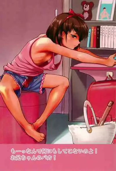 Gekkouchou VR Goggle Hen