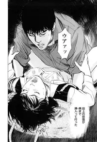 [Tomisawa Chinatsu, Hazuki Kaoru] My Pure Lady Vol.10