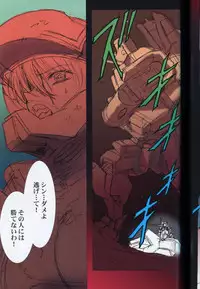 (C73) [HenReiKai (Kawarajima Koh)] SEED ANOTHER CENTURY D.E 5 (Gundam SEED)