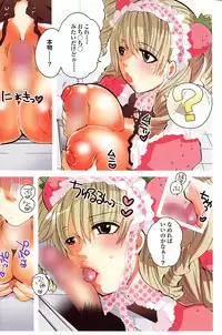 COMIC Purumelo 2008-07 Vol. 19