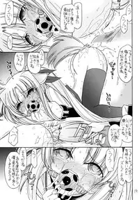 (C83) [EINSATZ GRUPPE (Charlie Nishinaka)] DOG FATE (Mahou Shoujo Lyrical Nanoha)