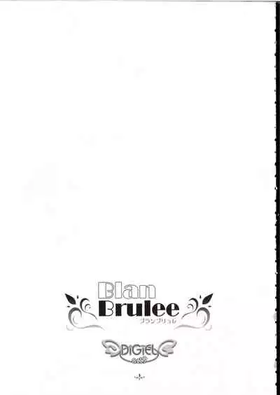 (C67) [DiGiEL (Yoshinaga Eikichi)] Blan Brulee (Futari wa Precure)