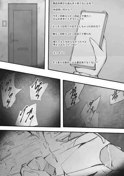 完璧な私 失うまでの記録