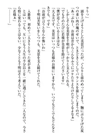 年上メイドの新婚日記