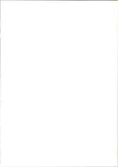 Super Optimistic Nyan Nyan