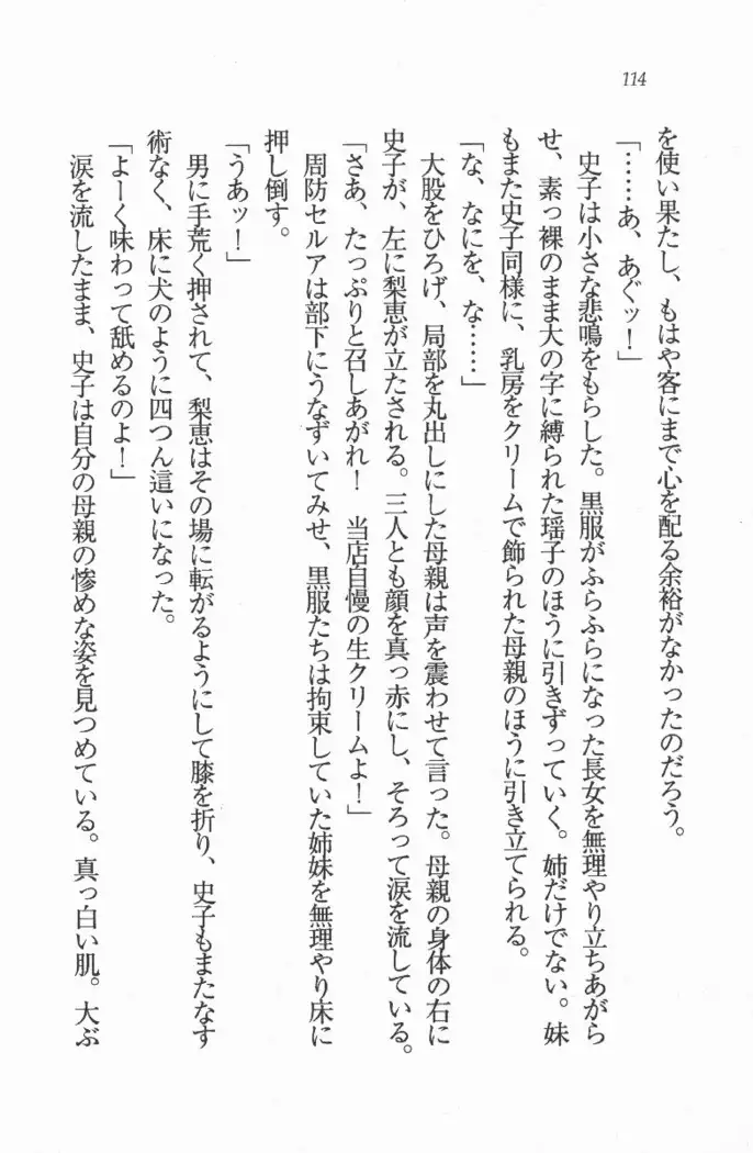 メイド喫茶 猫の隠れ家