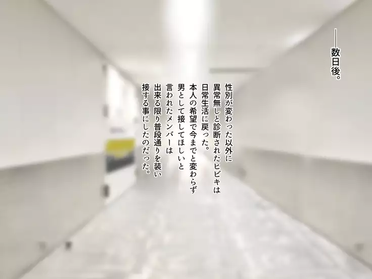 TS Sentai Hero Hibiki