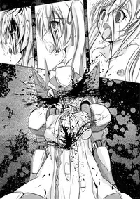 [Wing R] Oukoku no Daiichi Oujo "Shu no Senhime" Shokei (Saijaku Muhai no Bahamut)