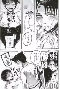 (C86) [Onjire (Tamy)] ONGRE2013 (Shingeki no Kyojin)