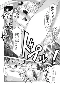 Comic Rin Vol. 29 [2007-05]