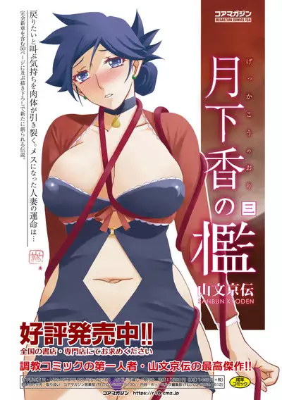 COMIC Megastore Vol. 11