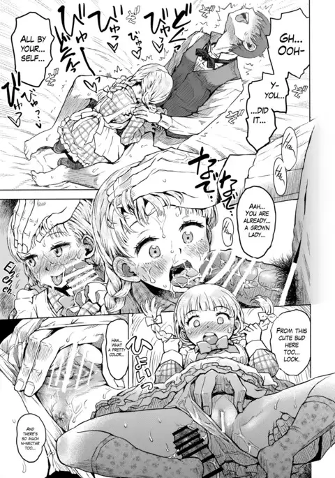 Himawari Kansatsu Nikki | Sunflower observation diary