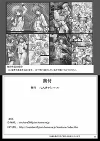 [Shinchara (YO-JIN)] Bind SAO 2 (Sword Art Online) [Digital]