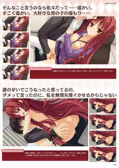 DRACU-RIOT! Official Visual Fan Book