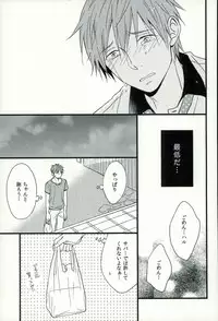 (C87) [Karaage Lemon (Ototo)] Haruka 1/2 (Free!)