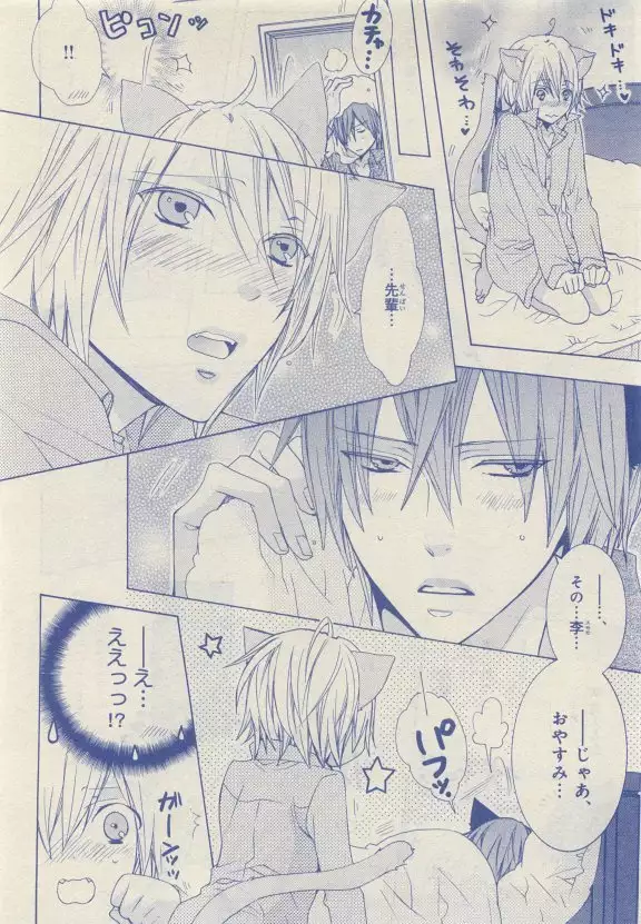 JUNK!BOY 2015 はるやすみ