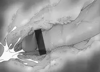 [Mimuda Ryouzou] Tapu Tapu Randoselita