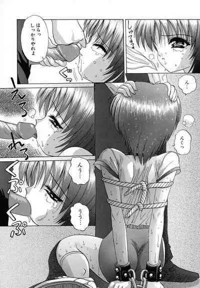 Aigan Bishoujo-teki Seikatsu no Susume